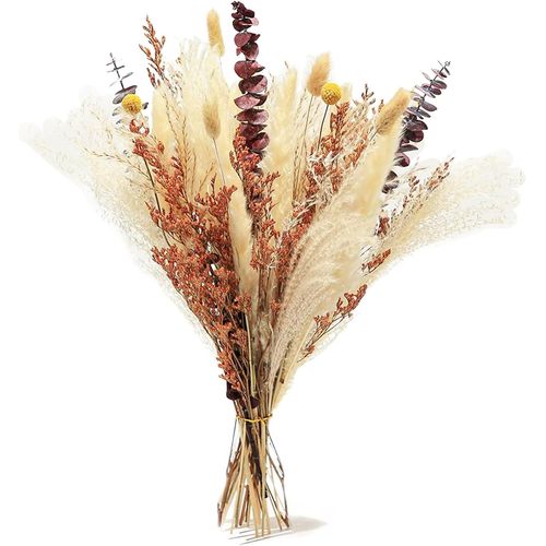 ERYI-Ensemble De 34 Bâtons Herbes De Pampas Naturelles, Pampas Sechees Décoration De Style Chaleureux, Fleurs Séchées Adaptées Aux Vases, Artisanat, Mariages, Centres De Table, Style Bohème