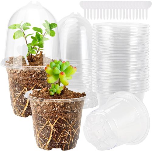 ERYI-20 Pieces Godet Semis Pot Transparent Plante 9Cm Cache Pot Plante Interieur Pots De Fleurs Exterieur Petit Jardiniere Plastique Avec Couvercle Et Étiquettes Pour Graines, Semis Et Plantes