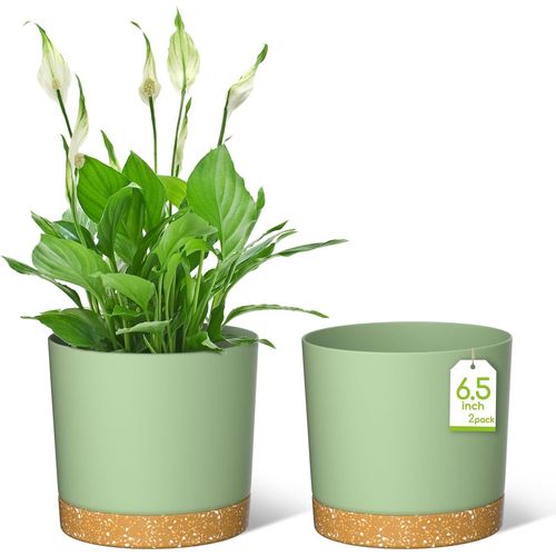 ERYI-Lot De 2 Pots De Fleurs, Ronds, En Plastique, 16,5 Cm De Diamètre, Avec Soucoupe Et Trous De Drainage, Pour Plantes D'Intérieur Et D'Extérieur, Verts