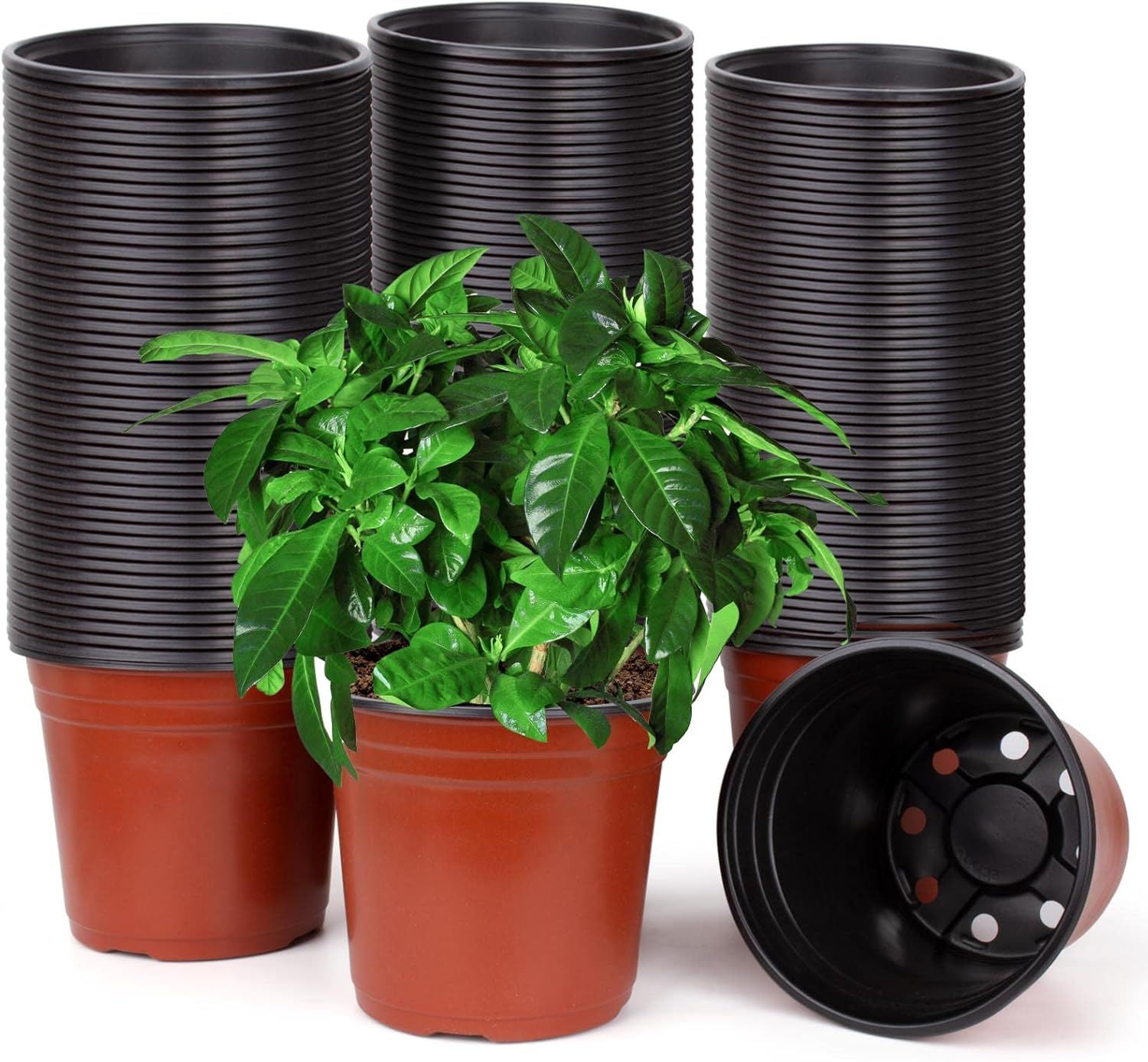 ERYI-Lot De 150 Pots De Fleurs, En Plastique, Ronds, Pour La Culture Et Le Semis, Parfaits Pour L'Intérieur Et L'Extérieur, Diamètre : 15 X 12 Cm