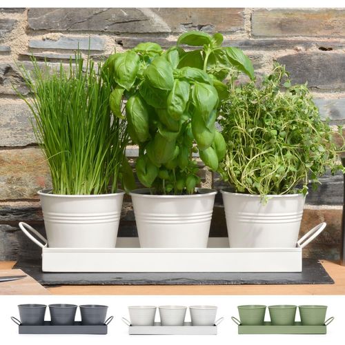 ERYI-Pot À Herbes Plantes D'Intérieur Plateau Lot De 3 Cultivez Des Herbes Fraîches Chez Vous Jardinières Rebord De Fenêtre Cuisine Pour Basilic Menthe Persil Fleurs Avec Bac D'Égouttement (Blanc Cra