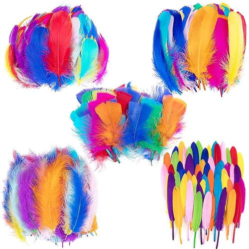 Plumes Naturelles D'oie Color¿¿Es, 300 Pi¿¿Ces, Pour L'artisanat De Bricolage