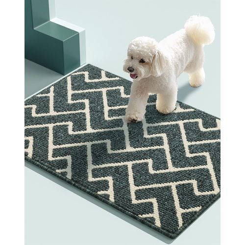 Eryi-Paillasson Intérieur Tapis 50x80cm Entrée Intérieur Extérieur Imperméable,Antidérapant,Absorbant,Tapis Pour Entrée,Lavable,Cuisine,Salle De Bain-Emerald