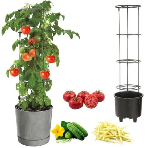 Pot À Légumes Vigne Tomate Concombre Haricot Ø30 Cm Gris Béton