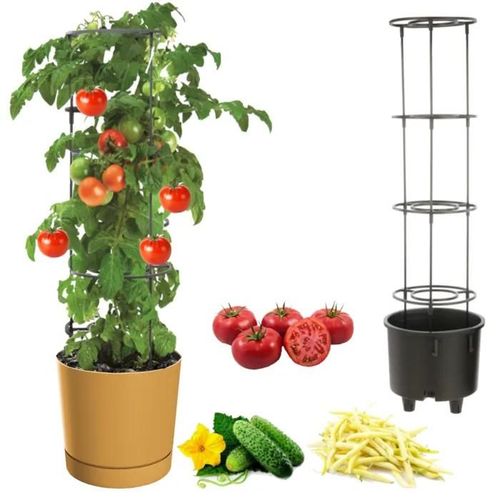 Pot À Légumes Vigne Tomate Concombre Haricot Ø30 Cm Jaune