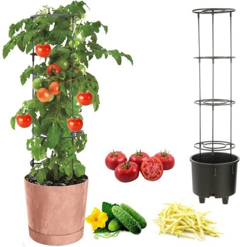 Pot À Légumes Vigne Tomate Concombre Haricot Ø40 Cm Terre Cuite
