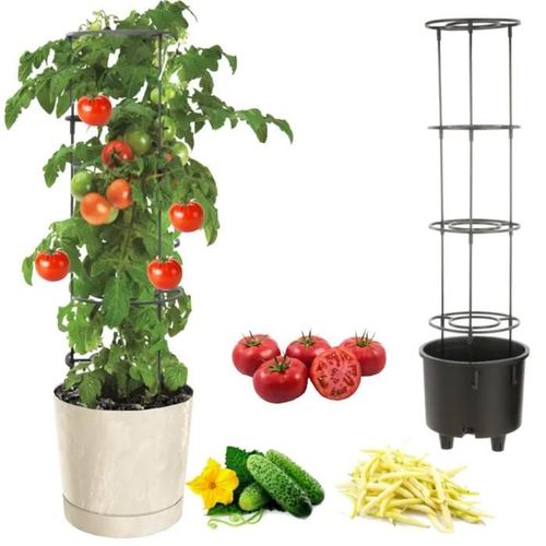 Pot À Légumes Vigne Tomate Concombre Haricot Ø40 Cm Crème