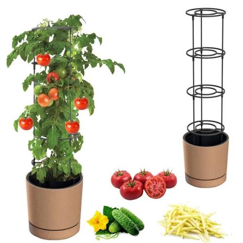 Pot Pour Tomates, Concombres, Haricots, Fleurs Grimpantes, Jardinière, Ø40cm, Marron + Insert