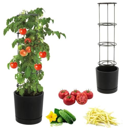 Pot Pour Tomates, Concombres, Haricots Grimpants, Fleurs, Culture, Ø40cm, Anthracite + Insert
