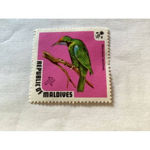 1 Timbre, Oiseau Chloropsis Aurifrons, Maldives, Année 1986.