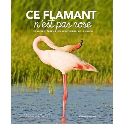 Ce Flamant N'est Pas Rose - Et Autres Vérités Sur Les Couleurs De La Nature