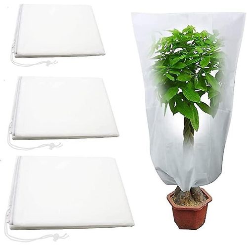 Housse d'hivernage pour plantes, 1 pièce, housse de protection pour plantes avec cordon de serrage, 120 x 80 cm, sacs de protection contre le gel et la poussière