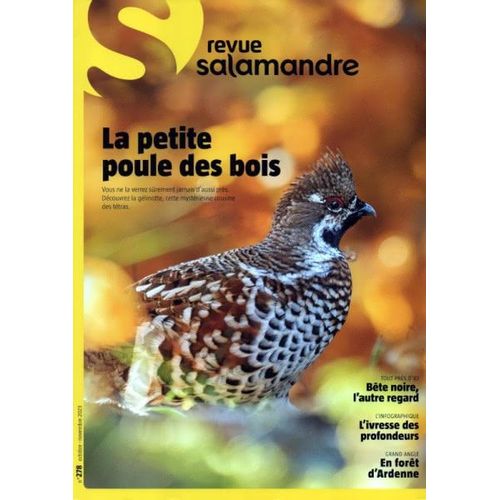 Revue Salamandre N°278 - Octobre Novembre 2023
