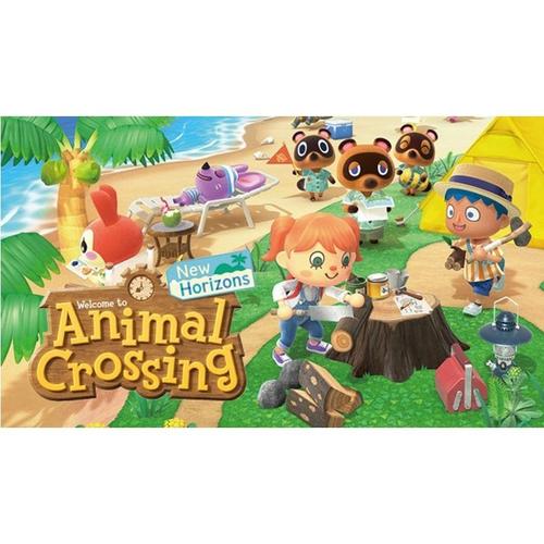 Animal Crossing New Horizons Nintendo Switch