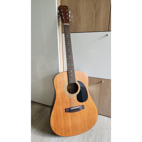 Guitare Acoustique Hohner Hw-300