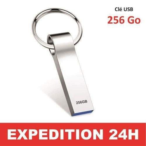 Clé USB 256 Go Grand Capacité Clé USB 3.0 Imperméable Cle USB 256 Go Mémoire Stick pour Tablette PC Argent