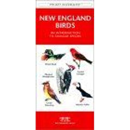 New England Birds Pocket Naturalist - Waterford Press