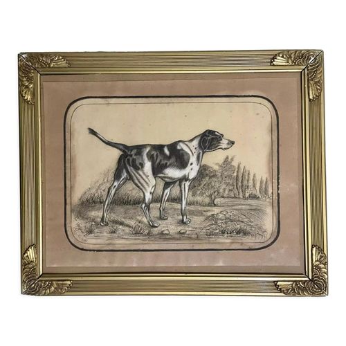Dessin au fusain et la craie blanche English Pointer Dog Portrait 1890 noir