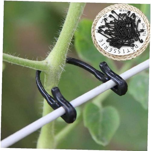 Lot de 100 vignes de jardin attachées en boucle, crochets fixes pour serre, agriculture, légumes, gadget de jardinage, plastique