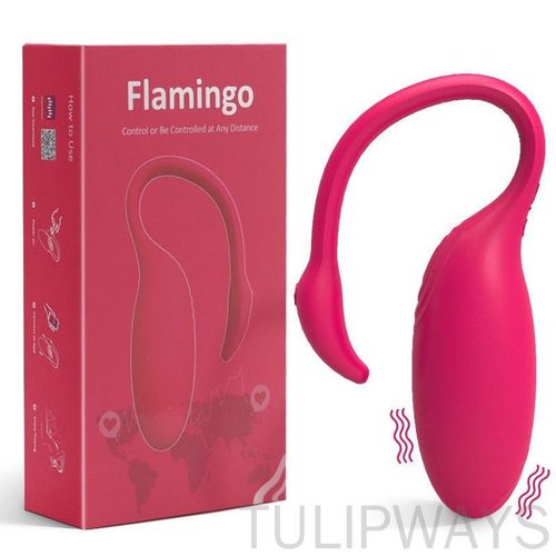Vibromasseur Portable Contrôlé Appli, Vibromasseur Wearable Cadeau Spécial, Rose