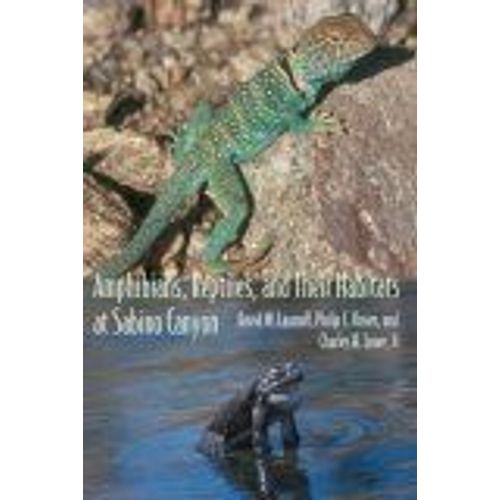 Amphibians, Reptiles, And Their Habitats At Sabino Canyon