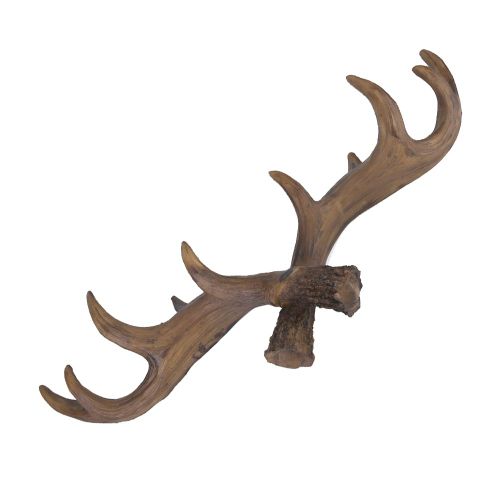 Porte-manteau mural decoratif retro Antler Novel de style americain (marron fonce)