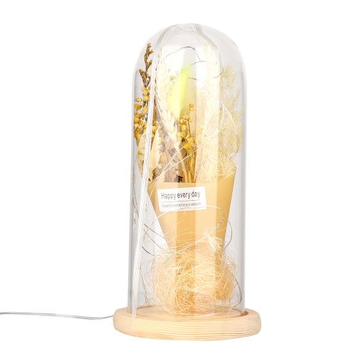 Lampe USB en forme de fleur sechee avec couvercle en verre, decoration d'interieur, cadeau de festival