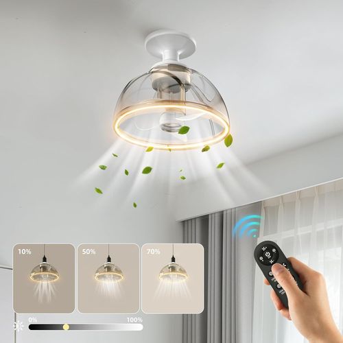 CHECARZHN--NO1-Plafonnier Avec Ventilateur, 20 Cm, Silencieux, Avec Lumière, Petit Ventilateur De Plafond Avec Lumière Led Et Télécommande, 8 W, 860 Lm, 3000 K, Intensité Variable, Pour Salon, Chambr