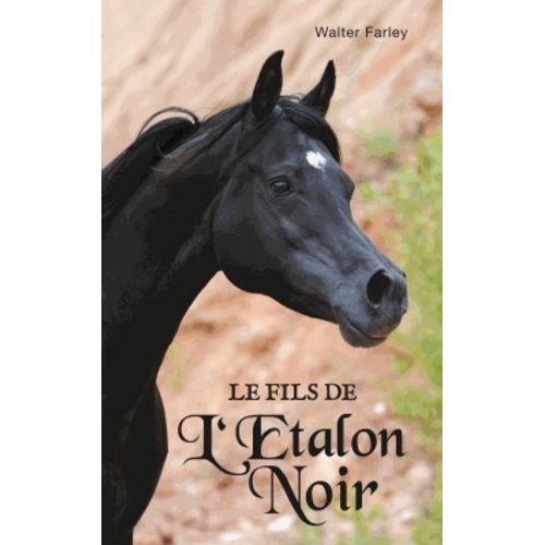 L'etalon Noir - Tome 3 - Le Fils De L'étalon Noir