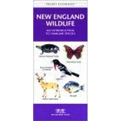 New England Wildlife : An Introduction To Familiar Species Pocket Naturalist - Waterford Press