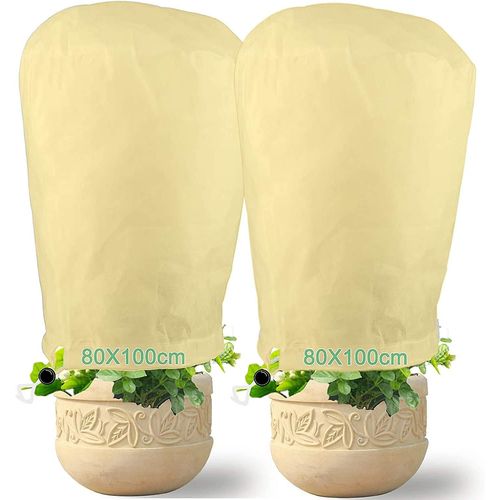 Housse d'hivernage pour plantes, voile d'hivernage, bâche de protection pour plantes, 80 x 100 cm, 2 pièces