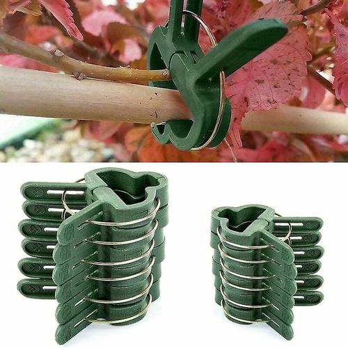 Lot de 100 attaches réutilisables pour plantes grimpantes (taille S et L)