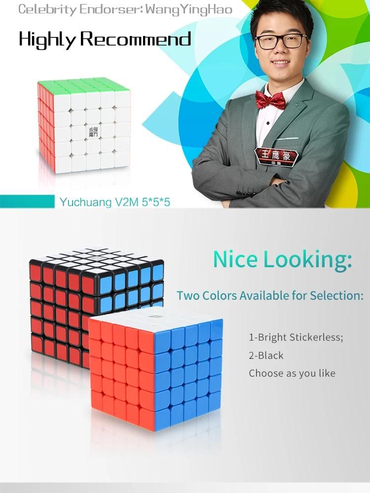 Yongjun haute qualit 2x2 3x3 4x4 5x5 6x6 7x7 pyramide de Cube magique magntique Megaminx-Megaminx image 3 | Rakuten
