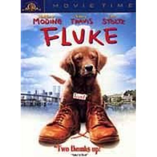 Fluke