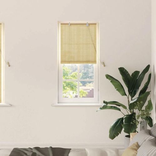 Vidaxl Stores Et Occultants Naturel 60 X 160 Cm Bambou