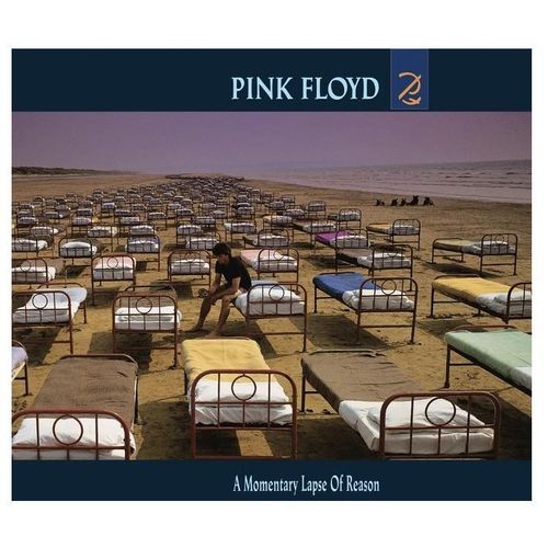 A Momentary Lapse Of Reason - Vinyle