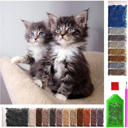 AYUHR-Diamond Painting Set 30x30 cm Deux chatons,5D Diamond Painting Images Enfants avec accessoires de peinture Daiments pour enfants et adultes,Crystal Art pour la décoration murale de la maison