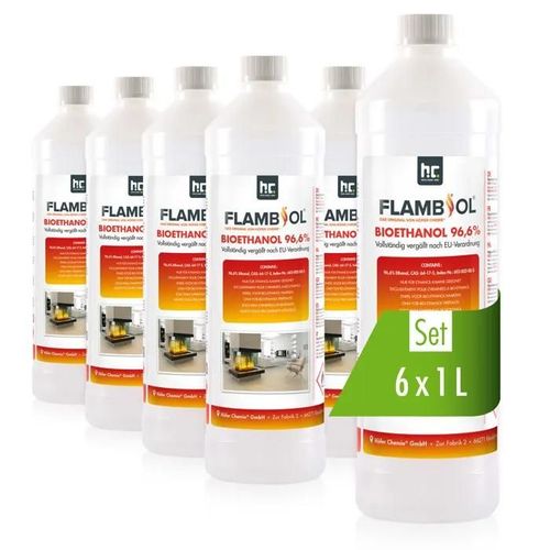 Bioéthanol - Höfer Chemie - 96,6% - 6 x 1 L - Sans fumée - Parfait pour cheminées de table