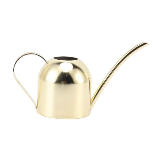 Arrosoir en acier inoxydable, grande capacité, bec long, pour intérieur et extérieur, plantation, jardinage, doré