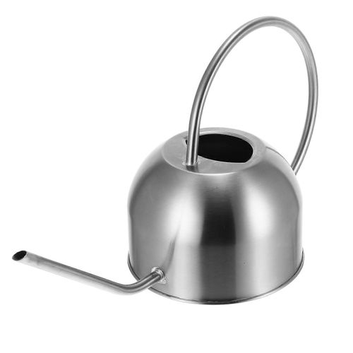 Arrosoir à long bec pour plantes d'intérieur, outil d'arrosage pour fleurs, argent, 1,5 L, entretien des plantes, 1 lot
