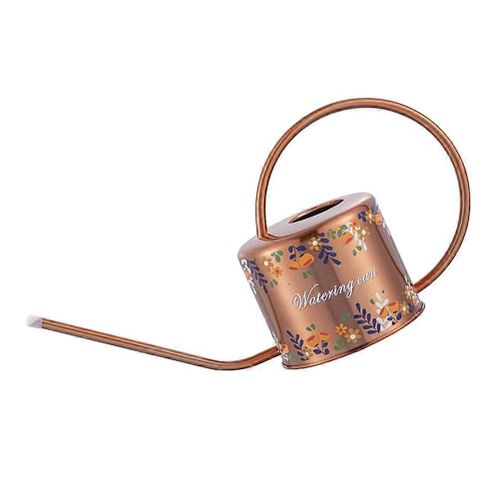 Arrosoir vintage en acier inoxydable avec long bec pour jardinage d'intérieur, marron, 37,5 x 20 cm, 1 pièce