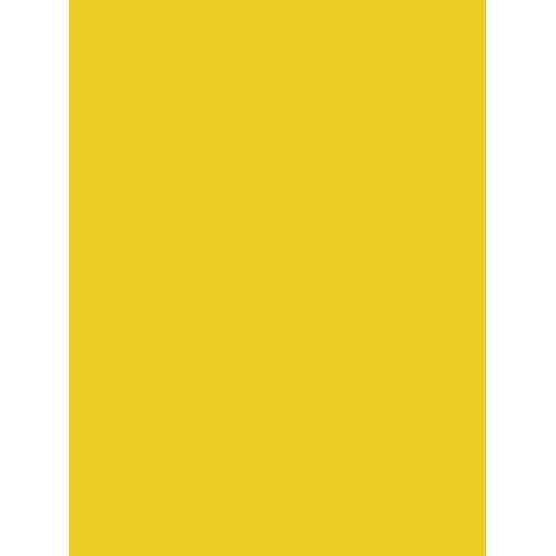 Paquet De 25 Feuilles De Papier Affiche Peinte 90g/M² - Format 60x80cm - Découpage, Ecriture, Collage - Loisirs Créatifs Adultes Et Enfants - Coloris Jaune Or