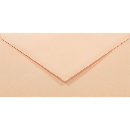 50 enveloppes longues rose saumon DL 110x220mm Rainbow 80g rabat pointu collage humide enveloppes colorées enveloppes décoratives pour invitations mariage Noël cartes de voeux anniversaire
