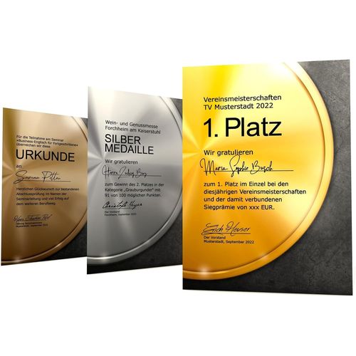 Lot De 3 X 10 Feuilles De Papier Pour Certificat Médailles Dorées, Argentées Et Bronzées