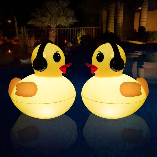 Lampe Solaire Flottante Pour Piscines, Lumière Piscine Étanche Flotante De 42cm, Lumiere Piscine Led Canard Embrasé, Lumière Solaire Bassin Gonflables Pour Piscines, Étang, Jardin-2 Pièces