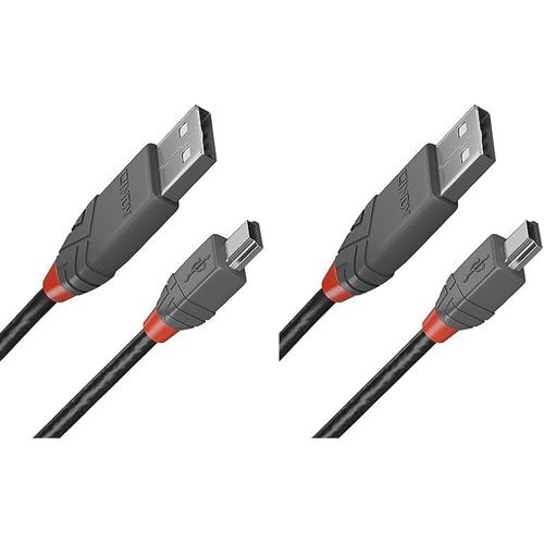 AYU-36725 Câble USB 2.0 type A vers Mini-B 5 M (Lot de 2)