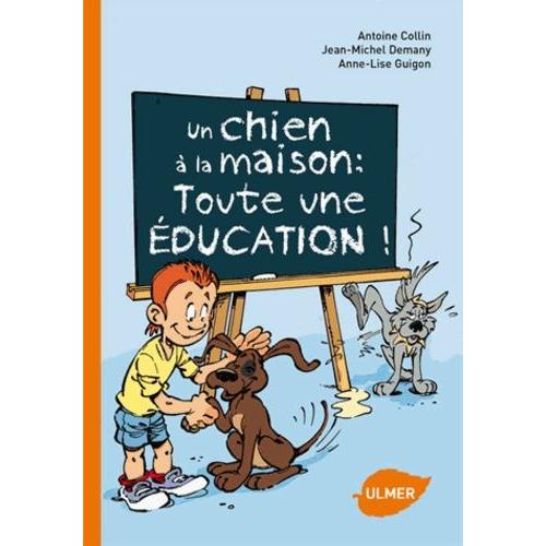 Un Chien À La Maison : Toute Une Éducation !