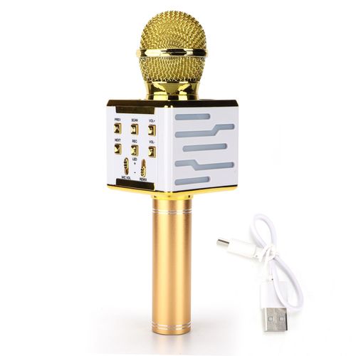Microphone Sans Fil Bluetooth Hifi Avec Effet Sonore De Reverberation, Appareil Audio Dc5vgold