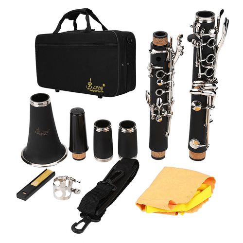 Clarinette 17 Touches En Si Descendant En Bakelite Avec Anches Et Chiffon De Nettoyage Pour Instruments A Vent