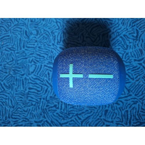 Wonderboom 2